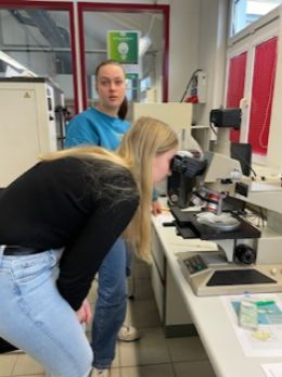 HFU-Praktikum_4.jpeg